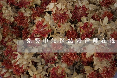 免费中站区结婚律师在线咨询 免费中站区结婚律师在线咨询