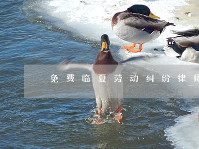 免费临夏劳动纠纷律师在线咨询 免费临夏劳动纠纷律师在线咨询