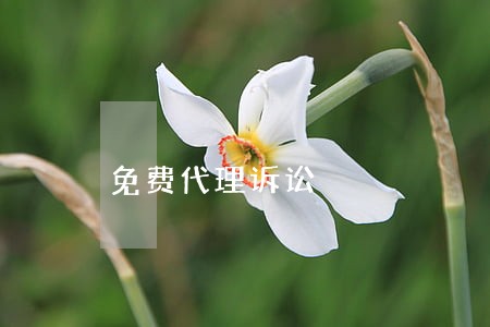 免费代理诉讼 免费代理诉讼