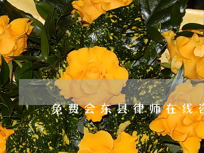 免费会东县律师在线咨询 免费会东县律师在线咨询