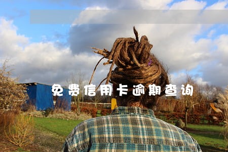 免费信用卡逾期查询 免费信用卡逾期查询
