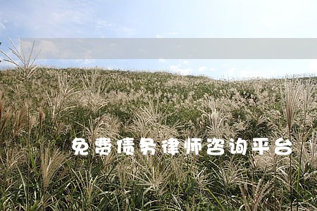 免费债务律师咨询平台 免费债务律师咨询平台