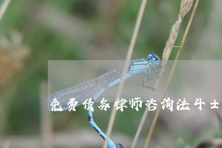 免费债务律师咨询法斗士违约 免费债务律师咨询法斗士违约
