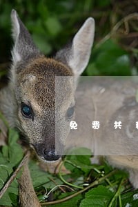 免费共和县律师在线咨询 免费共和县律师在线咨询