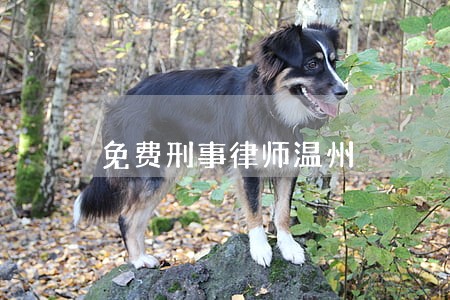 免费刑事律师温州 免费刑事律师温州