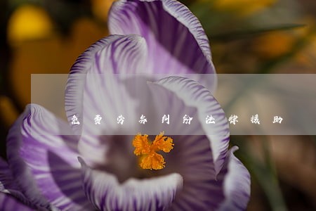 免费劳务纠纷法律援助 免费劳务纠纷法律援助