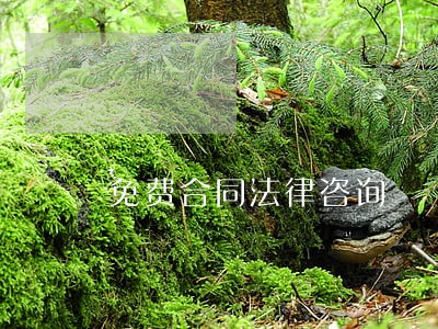 免费合同法律咨询 免费合同法律咨询