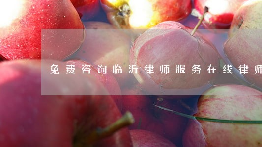 免费咨询临沂律师服务在线律师 免费咨询临沂律师服务在线律师