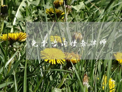免费咨询债务律师 免费咨询债务律师