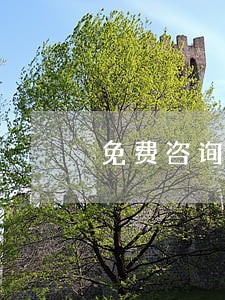 免费咨询国际贸易律师 免费咨询国际贸易律师
