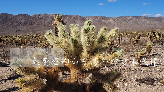 免费咨询山东涉外仲裁在线律师 免费咨询山东涉外仲裁在线律师
