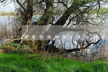 免费咨询律师24小时在线 免费咨询律师24小时在线