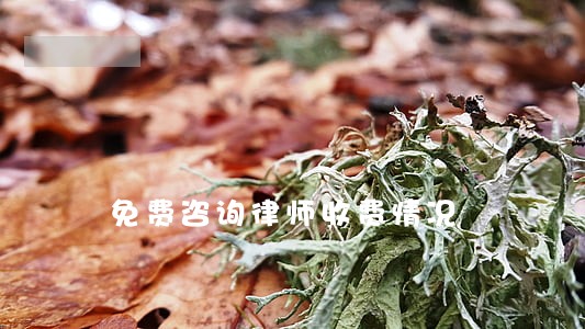 免费咨询律师收费情况 免费咨询律师收费情况