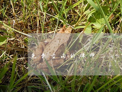 免费咨询的律师 免费咨询的律师
