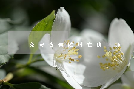 免费咨询随州在线律师 免费咨询随州在线律师