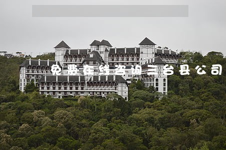 免费在线咨询三台县公司法律师 免费在线咨询三台县公司法律师
