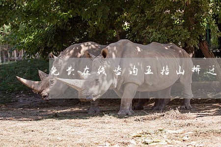 免费在线咨询五指山拆迁律师 免费在线咨询五指山拆迁律师