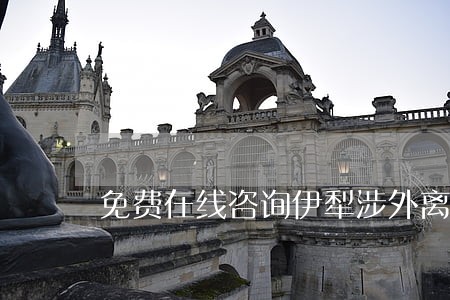 免费在线咨询伊犁涉外离婚律师 免费在线咨询伊犁涉外离婚律师