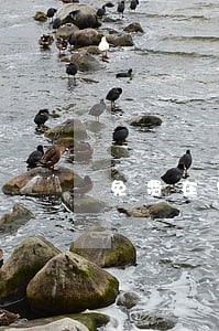 免费在线咨询唐山工程合同律师 免费在线咨询唐山工程合同律师