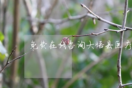 免费在线咨询大悟县医疗事故律师