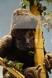 免费在线咨询天津妇幼权益律师 免费在线咨询天津妇幼权益律师