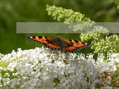 免费在线咨询宜昌损害赔偿律师 免费在线咨询宜昌损害赔偿律师