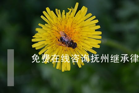 免费在线咨询抚州继承律师