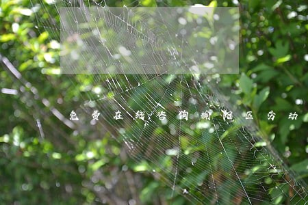 免费在线咨询榆阳区劳动纠纷律师 免费在线咨询榆阳区劳动纠纷律师