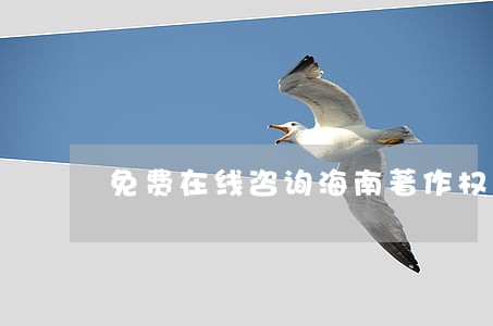 免费在线咨询海南著作权律师