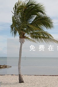 免费在线咨询濮阳名誉毁谤律师 免费在线咨询濮阳名誉毁谤律师