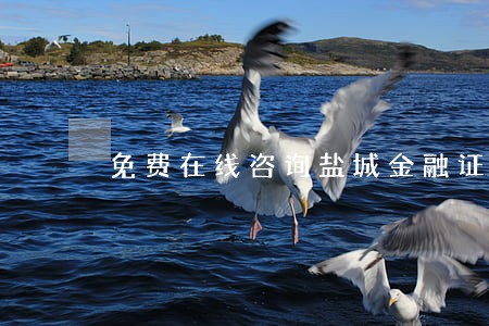 免费在线咨询盐城金融证券律师 免费在线咨询盐城金融证券律师
