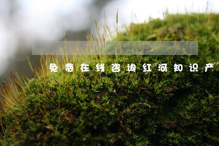 免费在线咨询红河知识产权律师 免费在线咨询红河知识产权律师