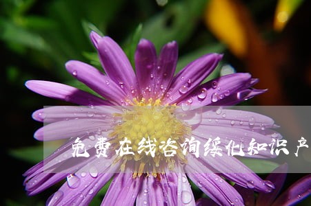 免费在线咨询绥化知识产权律师 免费在线咨询绥化知识产权律师