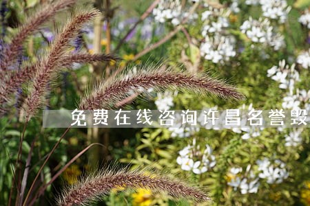 免费在线咨询许昌名誉毁谤律师 免费在线咨询许昌名誉毁谤律师