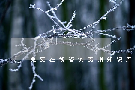 免费在线咨询贵州知识产权律师 免费在线咨询贵州知识产权律师