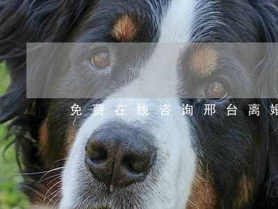免费在线咨询邢台离婚律师 免费在线咨询邢台离婚律师