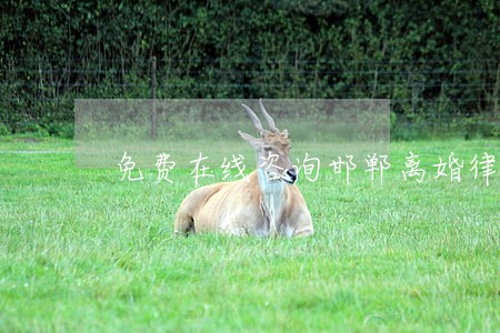 免费在线咨询邯郸离婚律师 免费在线咨询邯郸离婚律师