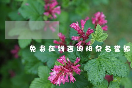 免费在线咨询阳泉名誉毁谤律师 免费在线咨询阳泉名誉毁谤律师