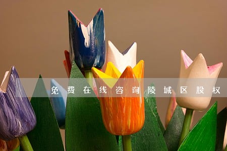 免费在线咨询陵城区股权律师 免费在线咨询陵城区股权律师