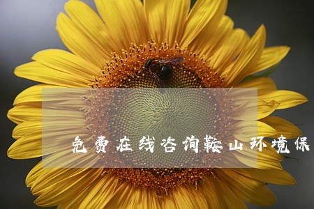 免费在线咨询鞍山环境保护律师