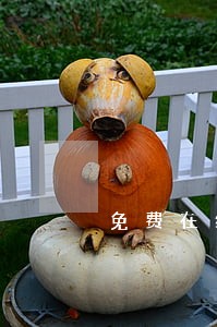 免费在线离婚律师 免费在线离婚律师