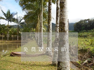 免费媒体求助 免费媒体求助