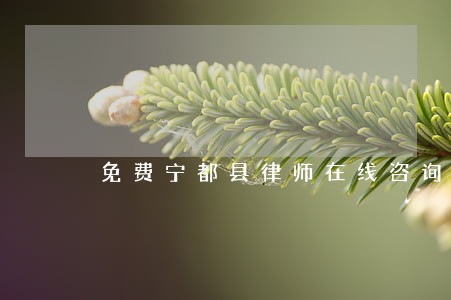 免费宁都县律师在线咨询 免费宁都县律师在线咨询