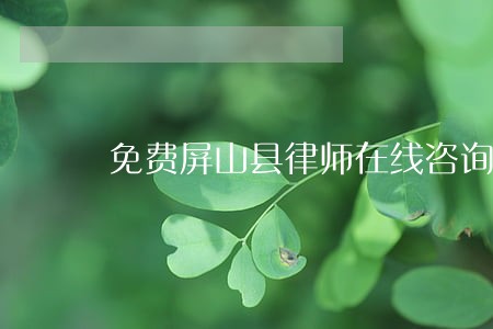 免费屏山县律师在线咨询 免费屏山县律师在线咨询