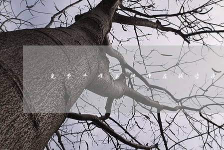 免费平顺县律师在线咨询 免费平顺县律师在线咨询