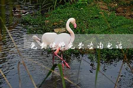 免费律师免费咨询电话 免费律师免费咨询电话