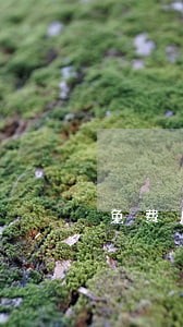 免费房产律师在哪里 免费房产律师在哪里