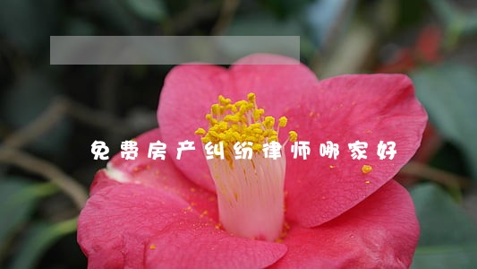 免费房产纠纷律师哪家好