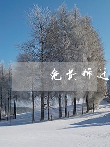免费拆迁纠纷律师咨询 免费拆迁纠纷律师咨询