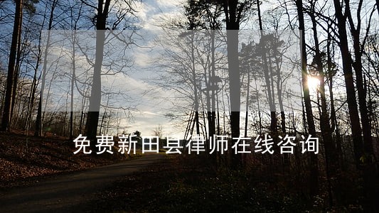免费新田县律师在线咨询 免费新田县律师在线咨询